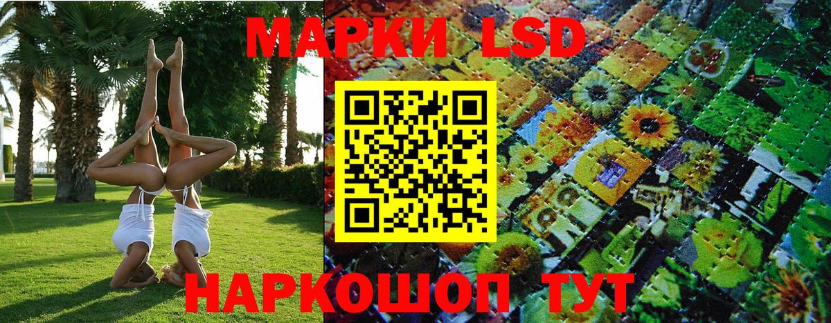 Канабис  Будённовск  Вход с VPN  ГАШ  ГЕРОИН  Меф МЯУ МЯУ   ГАШ  ЭКСТАЗИ 