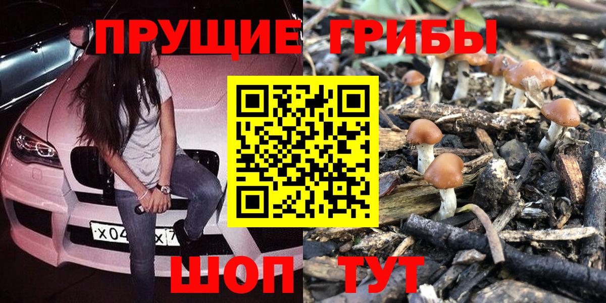 Галлюциногенные грибы ЛСД Будённовск
