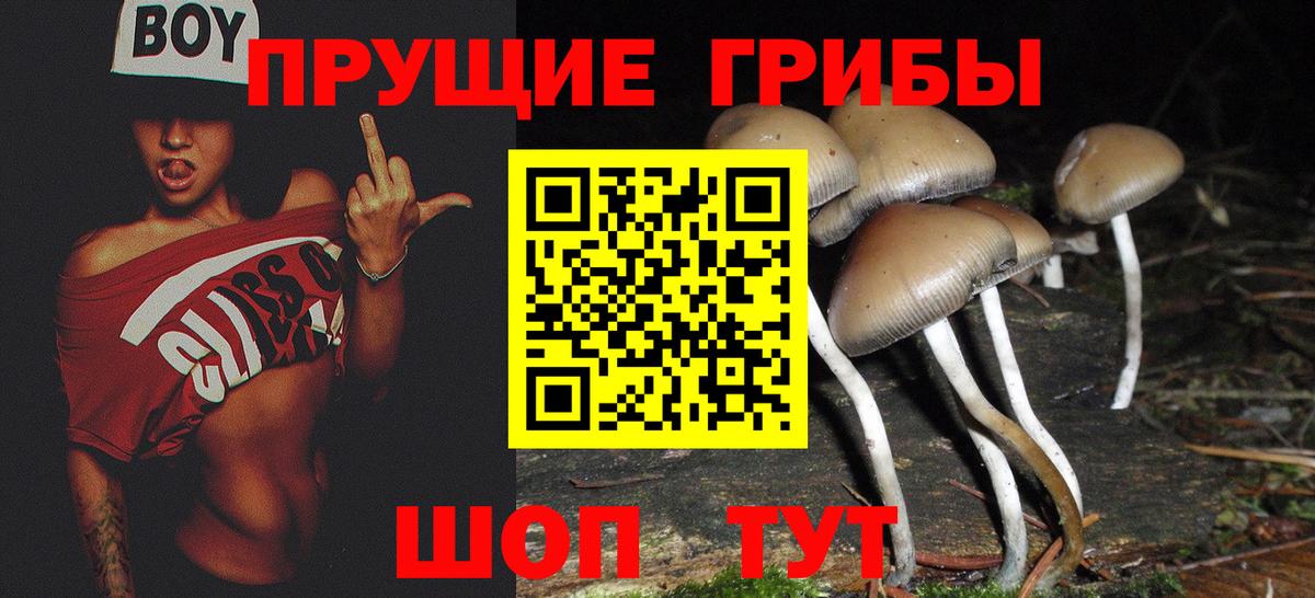 Галлюциногенные грибы MAGIC MUSHROOMS  Будённовск 